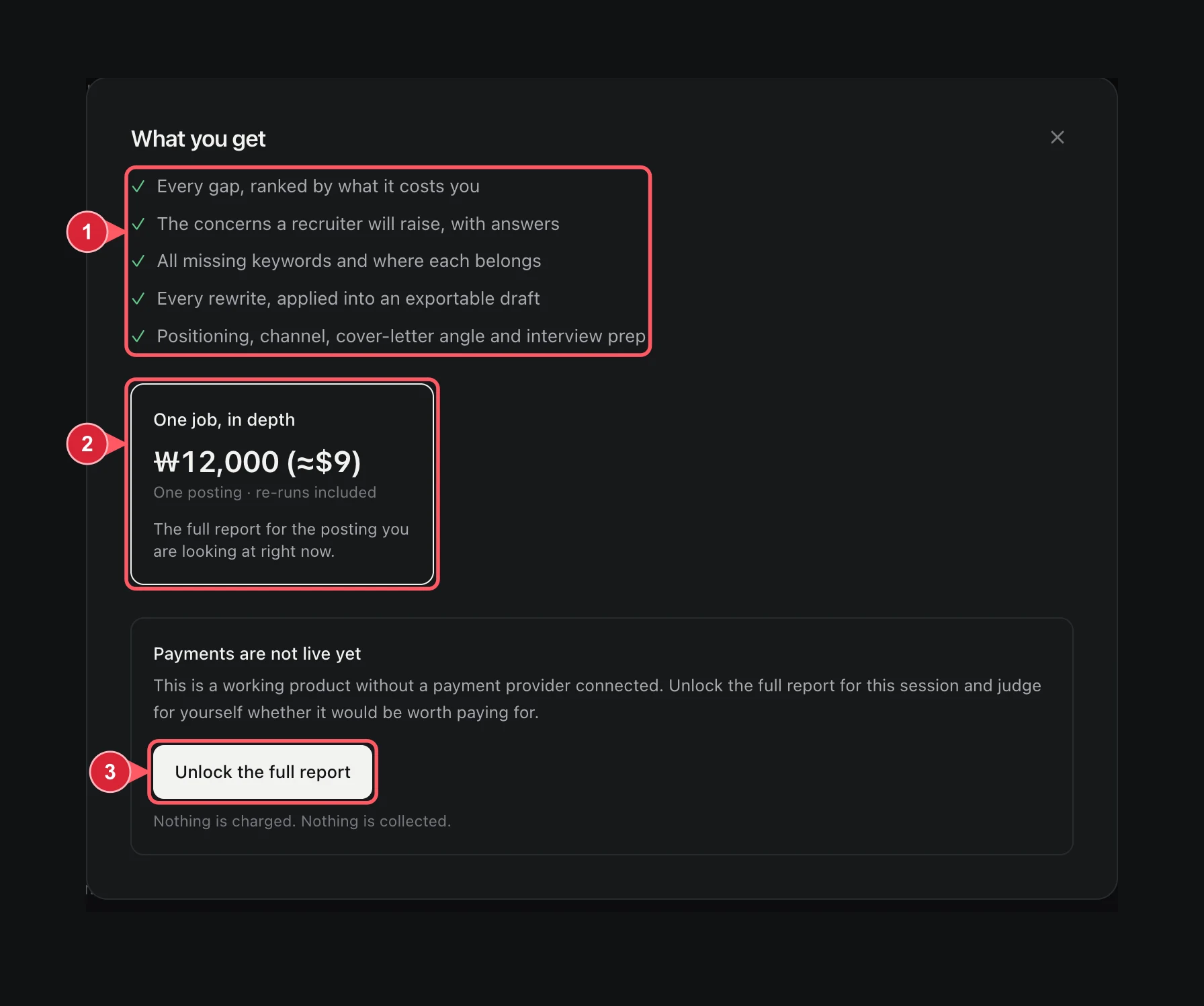 JobAgent guide screen 5: Open the full-report preview